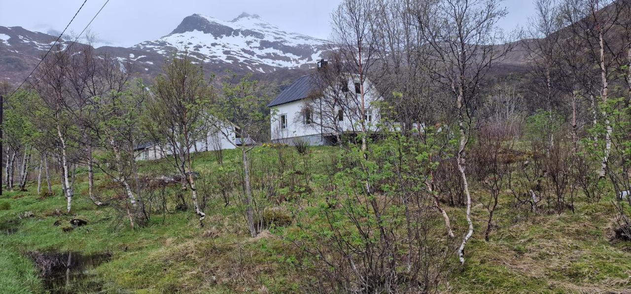 Pilan Lodge Lofoten Vestpollen Exterior foto